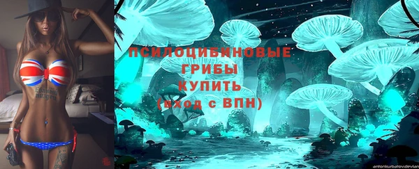 спайс Алексеевка