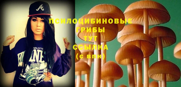 тгк Алексин